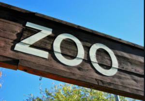 Zoo